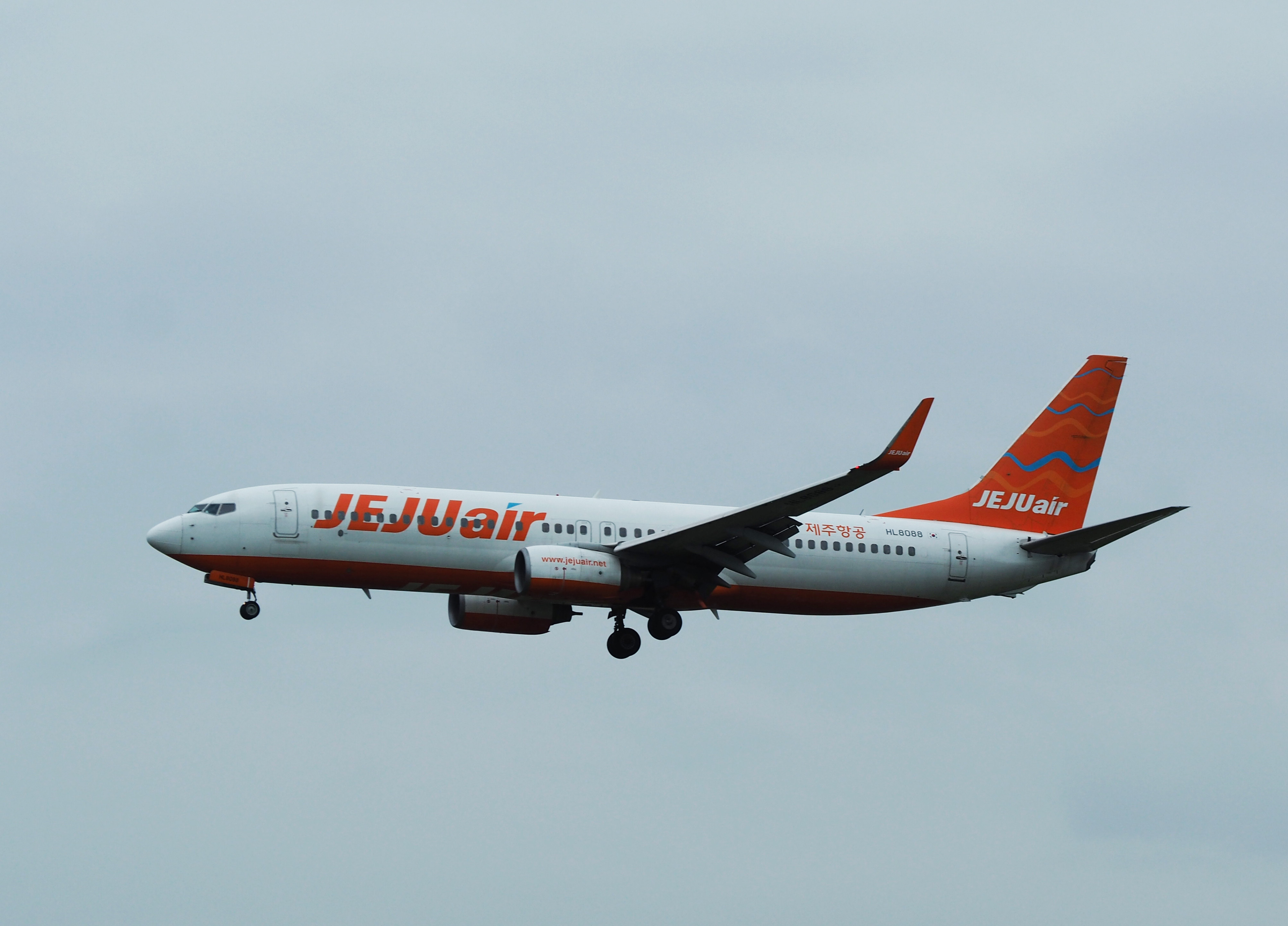 Fakta Baru Terungkap Dalam Penyelidikan Kecelakaan Jeju Air 2216